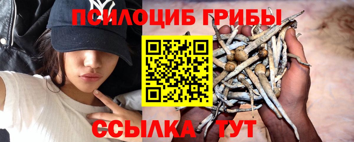 Балтийск  Галлюциногенные грибы прущие грибы  Галлюциногенные грибы мухоморы  Вход с VPN 